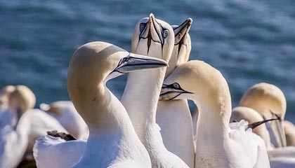 苍南最新的高价医保个人账户余额微信查询方法分享(苍南医保查询个人账户明细怎么查微信教程)